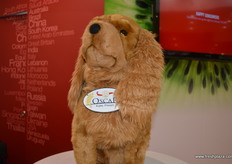 Oscar the dog, mascot and namesake of the Oscar kiwis was keeping guard at the Primland stand.