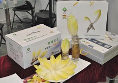 Chicory produced and showcasted by Hebei Lianxing Jia Yao Agricultural Science and Technology Co., Ltd. China FVF provides the team a platform to introduce chicory to Chinese customers, including ways to prepare and eat the vegetable.