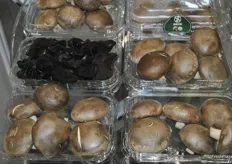 Mushrooms on display produced by Zhang Jiakou Dekang Biological Technology Co., Ltd
