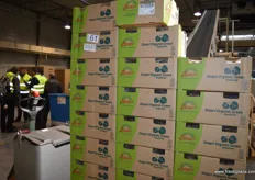 Some boxes for the organic green kiwis.