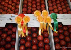 A nice group of rosettes fro Newmas fruit who won the NFU Best in Show with a huge score of 99/100 for the Cameo apple.