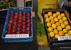 Mariri Red and Opal apples from Botden & van Willegen.