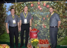 Keith Mathews, Tim Cavanaugh and Justin Bos in the orchard of First Fruits Marketing of Washington.