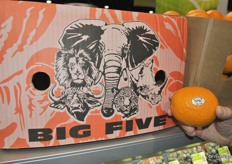 Tom Lange started with a new brand for South Africa, Big Five!