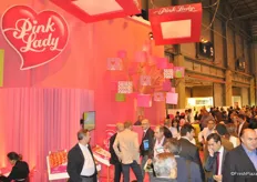 Overview of Pink Lady stand