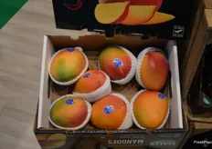 Large mangoes from Ecuador