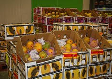 Pawpaws and papaya are available year-round in Australia, but have peak seasons in autumn (March-May) and spring (September-November). Most are grown in far-north Queensland, the Northern Territory and Western Australia, then transported to Melbourne Markets and other states.