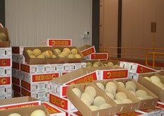A display of melons at the Kapiris Bros store.