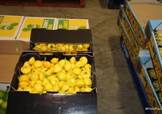 Yellow button squash stood out for their bright colouring, with their season in full swing in Victoria through spring and summer.