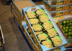 Butter beans and limes on display at the R. Anguey store (8). Along with the button squash, the beans were a standout item on this quieter section of the Buyer's Walk.