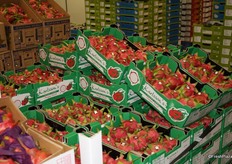 The dragonfruit season is wrapping up in Australia, but there was an abundance of quality fruit available at the Melbourne Market in early March.