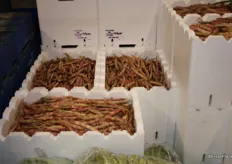 Some of the produce in the growers area is more unique, such as these colourful beans, but may only be available in limited quantities when compared to the businesses on the Buyer's Walk.