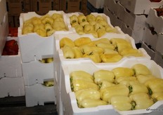 Pale coloured capsicums in the growers section of Melbourne Market were a point of difference from other varieties.