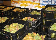 Prickly pears come into season at the end of the Australian summer, but are often more familiar to consumers as garden cacti.