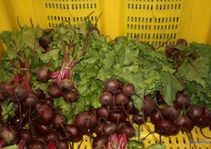 Beetroot in the growers section of Melbourne Market appeared to be hot property, and of very high quality.