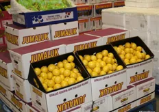 While grapes were seen throughout the market, lemons were a less common sight, as the season is just starting to ramp up now in different parts of Australia.