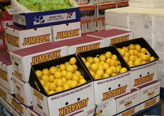 While grapes were seen throughout the market, lemons were a less common sight, as the season is just starting to ramp up now in different parts of Australia.