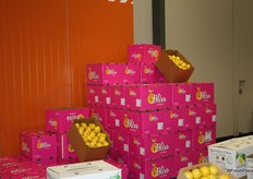 Some more lemons, all the more eye-catching for their limited availability during the tour.