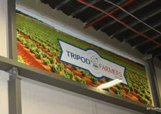 Tripod Farmers specialises in lettuce and other leafy greens.