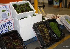 Some of the display at Tripod Farmers store (109,111).