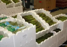 Fresh and packaged asparagus, which is coming to the end of its season in Australia.