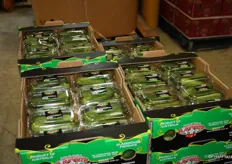 Packaged snacking cucumbers on display at Flavorite Marketing. There is a growing demand for snacking fruit and vegetables in Australia, driven by consumer preferences for healthy snacks.