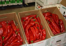 Some of the longer, stuffing or roasting peppers on display at the Kapiris Bros store.