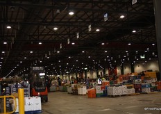 The growers section was a bustle of activity, with forklifts and other vehicles, as well as lots of foot traffic. As it is in the centre of the facility, it can sometimes become a thoroughfare for people moving from the Buyer's Walk to the parking area, or to the Flower Market on the other side.