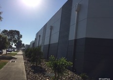 The outside of the facility appears to stretch into the distance. Mr Tsakoumakis says it actually has a total storage capacity within the facility of 1214 pallets, including the cool rooms, packing area and dispatch area.