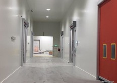 “In keeping with the company’s values of being socially and environmentally responsible, we’ve used state-of-the-art energy efficient materials and equipment, including the cool-room systems,” Mr Tsakoumakis explains.