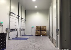 The arrivals area is also set up for future fumigation areas.