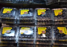 Driscoll's blueberries