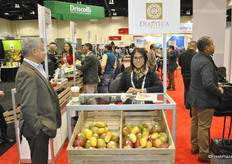 Gabriela Luna from Diazteca