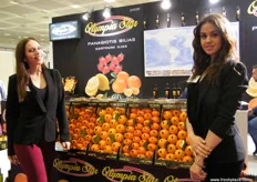 Representatives for Olympia Star; the company occupies a model building of 6.000 sqm, which is located on an area of 40.000 sqm, at the junction of Gastouni. The main products that they export are: oranges, mandarins, lemons, strawberries, potatoes, watermelons and kiwis.