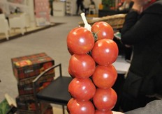 A bundle of tomatoes