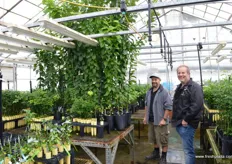Robert (Jezz) Dichiera and Datesy in one of the glasshouses.