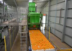 Fruit is brought straight from the fields in 400 kg plastic crates.