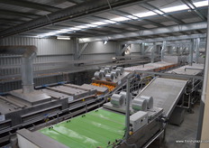 The fruit can be traced almost back to the tree.