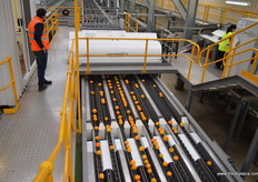 The system is from Maf Roda, this is the Global Scan which takes 20 photos of each piece of fruit to grade quality, size and colour.