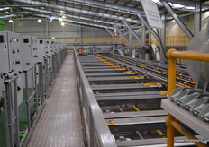 They can process 90 bins per minute.