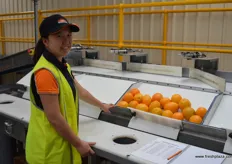 Quality control area: Claire does this manually, there is a visual, weight and diameter check. This step provides essential feedback to the grower on packout rates.