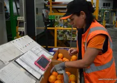 Hanni checks the oranges for quality individually and to ensure that each one has a sticker.