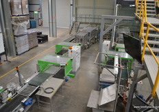 The cartons head for the automated paletizer.