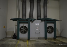 There two holing rooms as well as 5 pre cooler rooms which can take the heat out of the fruit overnight.