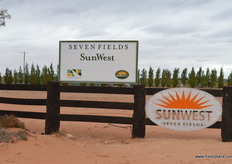 Sun West is the Flagship farm in the Seven Fields organisation.