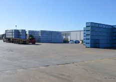 120,000 bins of Navels, 25-30,000 easy peelers plus some lemons and avocados go through the packhouse each year.