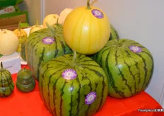 Square melons on display