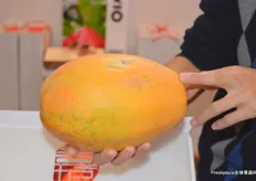 Hainan papaya of Qionghai Fruit and Vegetable Production and Marketing.