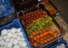 Tomatoes on the vine in a range of colours.
