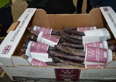 English purple asparagus from Wye Valley.
